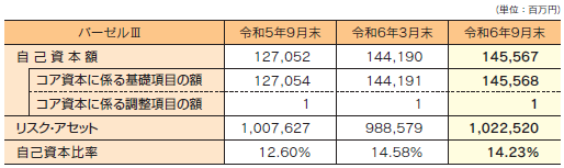 自己資本比率の状況